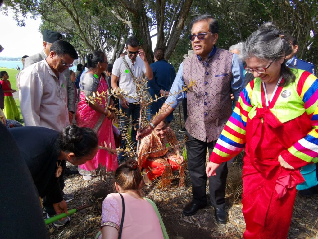 Pancha Narayanan and other Te Tiriti partners plant a kauri tree at Waitangi