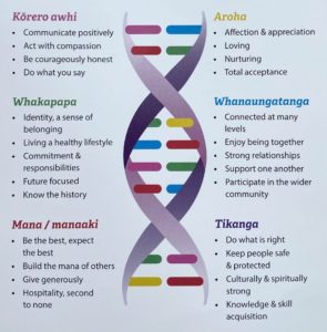 Te Herenga o te Whānau - this diagram represents a DNA helix to demonstrate that the dimensions of E Tū Whānau are handed down from the ancestors and are then strengthened by each generation to be handed down to future generations. It has been named Te Herenga o te Whānau to signify 'the rope of life' or the umbilical cord that joins whānau together.