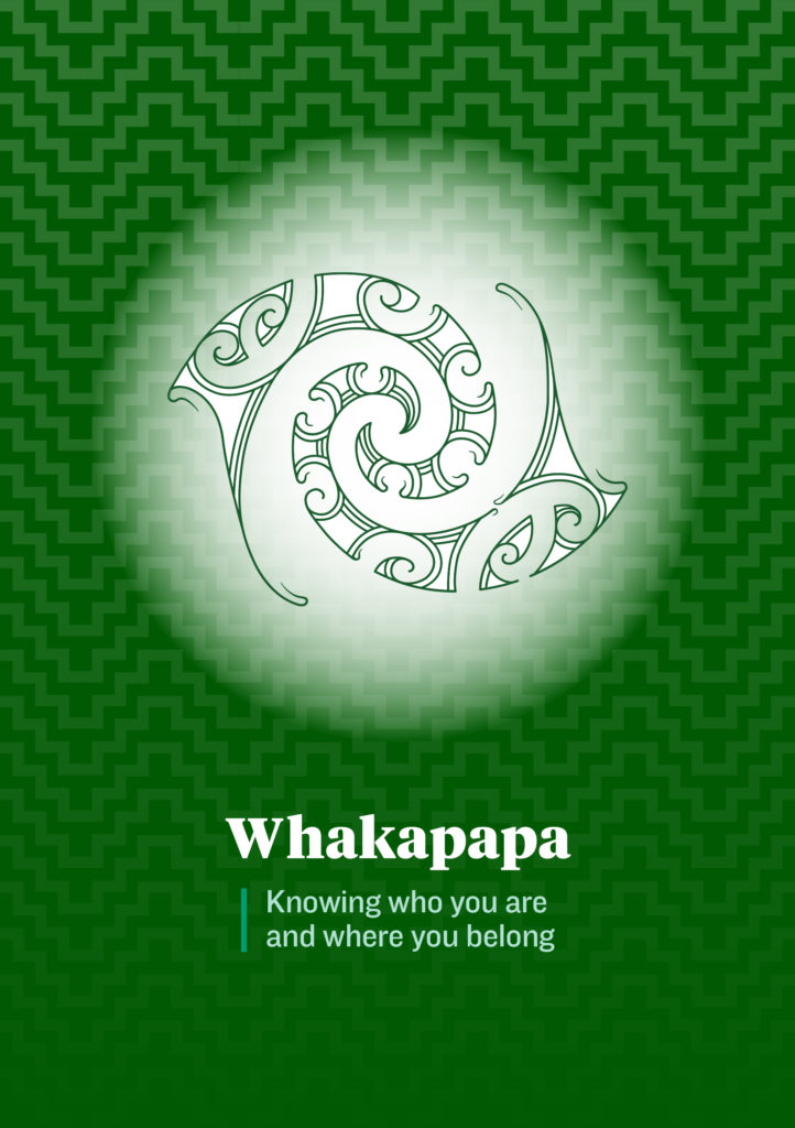 Image of the cover of the Whakapapa booklet - one of six which explore the E Tū Whānau values