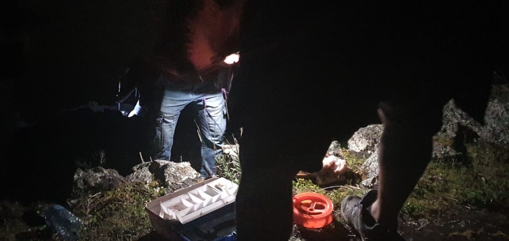 Two tāne fishing at night on Rangitoto Island 