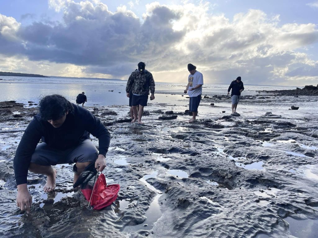 Rangatahi from OYH collect kaimoana on Rangitoto Island.