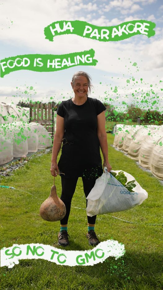 A picture of a woman standing outside holding a big calabash and a bag of green leafy vegetables. She is dressed in black. Above her, text says, "Hua parakore. Food is healing." Below her, text says, "So no to GMO."