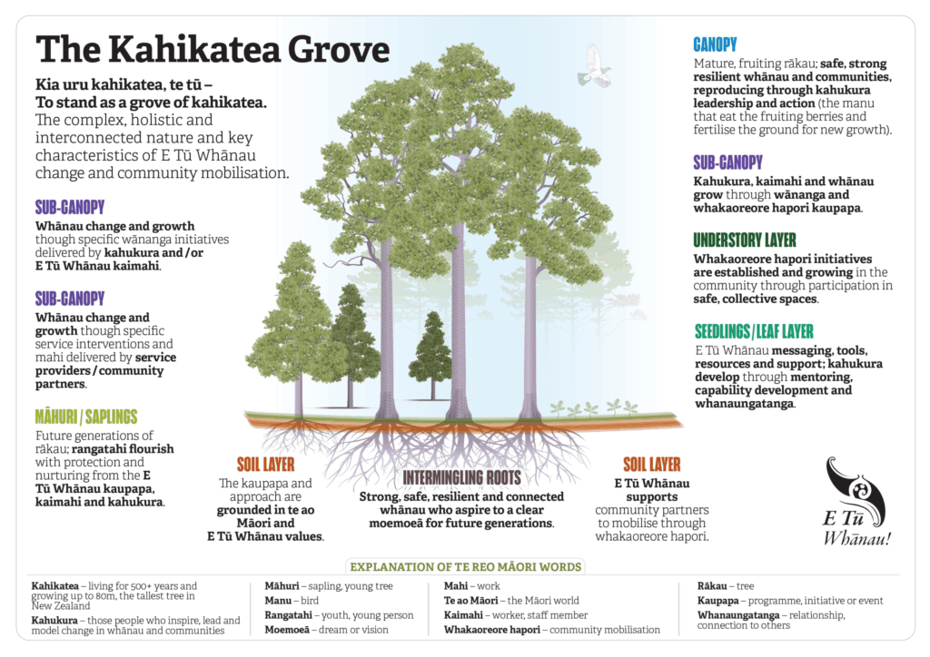 This resource is conceptual representation of the ways in which E Tū Whānau partners with others to support community mobilisation for positive change. Taking inspiration from the whakataukī Kia uru kahikatea, te tū – To stand as a grove of kahikatea, the analogy illustrates the complex, holistic and interconnecting nature of the work E Tū Whānau does alongside others to uplift and strengthen whānau.