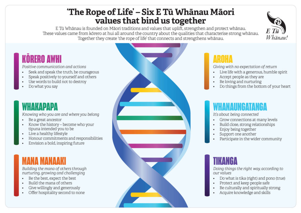 This depicts the E Tū Whānau values using a DNA helix, which runs up the centre of the image. Titled "the Rope of Life - Six E Tū Whānau values that bind us together, it presents each of the values in turn along the length of the DNA strand.